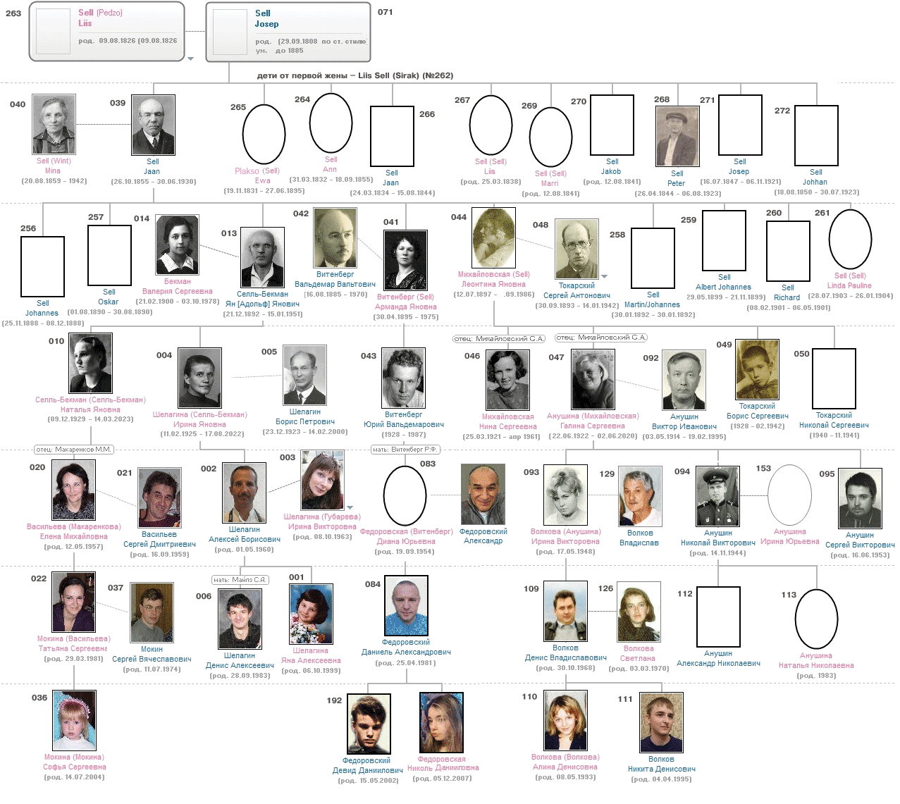 родовое древо Sell - Wint